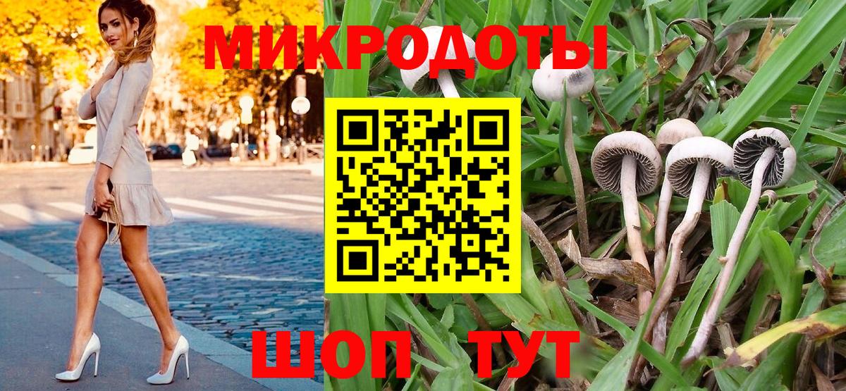 Галлюциногенные грибы Psilocybine cubensis Сарапул